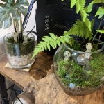 1621231830814. (1).jpg